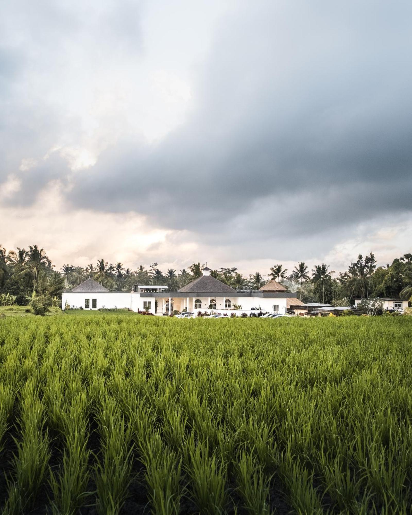 Cascades Suites Ubud Zewnętrze zdjęcie